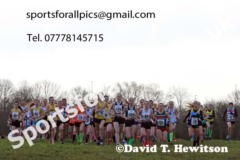 Girls Under-15s 2024 Northern Cross Country Champs., Sedgefield. Photo: David T. Hewitson/Sports for All Pics